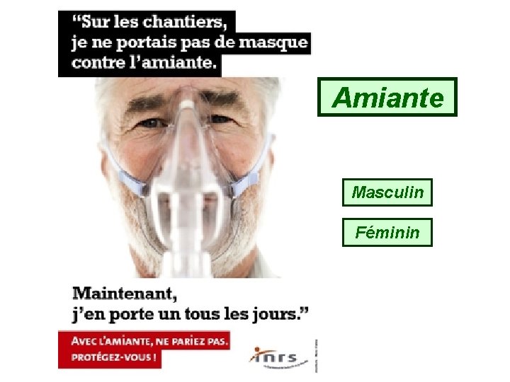 Amiante Masculin Féminin 