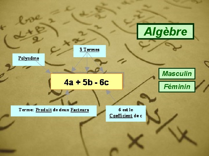 Algèbre Masculin Féminin 