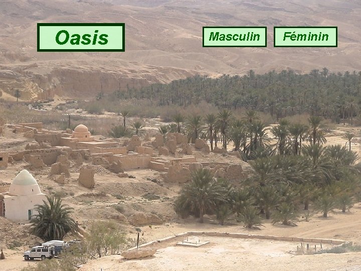 Oasis Masculin Féminin 