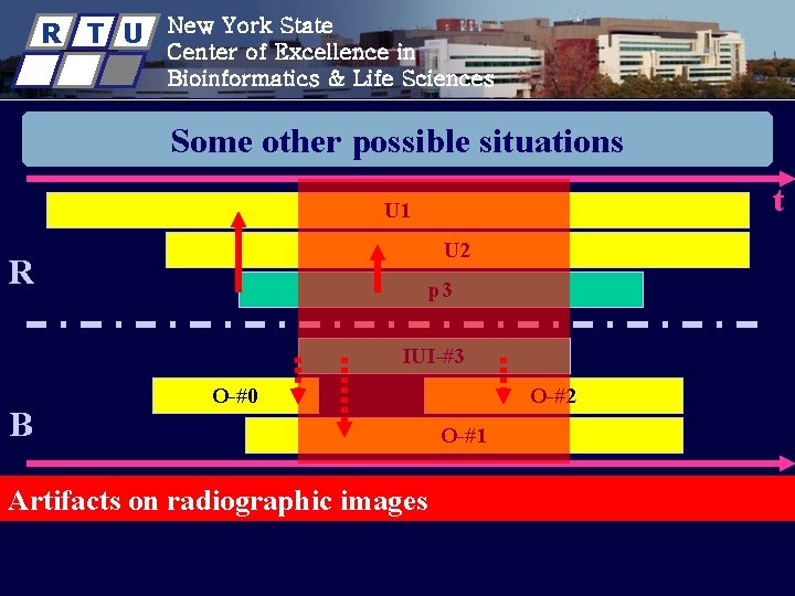 R T U New York State Center of Excellence in Bioinformatics & Life Sciences