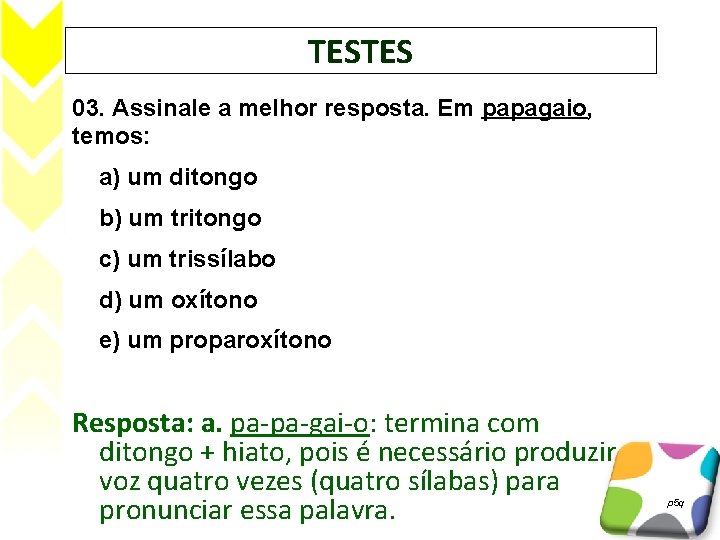 Assinale A Melhor Resposta Em Papagaio Temos