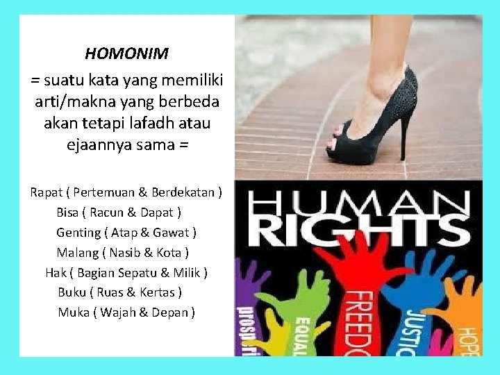 HOMONIM = suatu kata yang memiliki arti/makna yang berbeda akan tetapi lafadh atau ejaannya HOMONIM = suatu kata yang memiliki arti/makna yang berbeda akan tetapi lafadh atau ejaannya