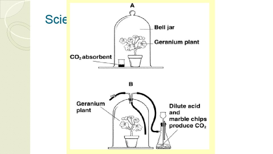 Scientific Method - Data 
