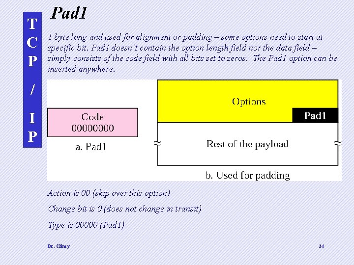 T C P Pad 1 1 byte long and used for alignment or padding