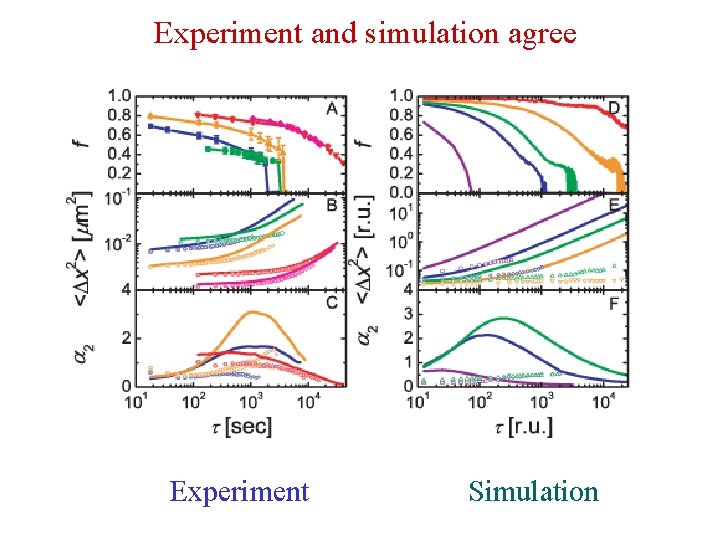 Experiment and simulation agree Experiment Simulation 