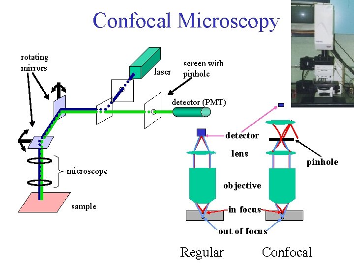 Confocal Microscopy rotating mirrors laser screen with pinhole detector (PMT) detector lens pinhole microscope