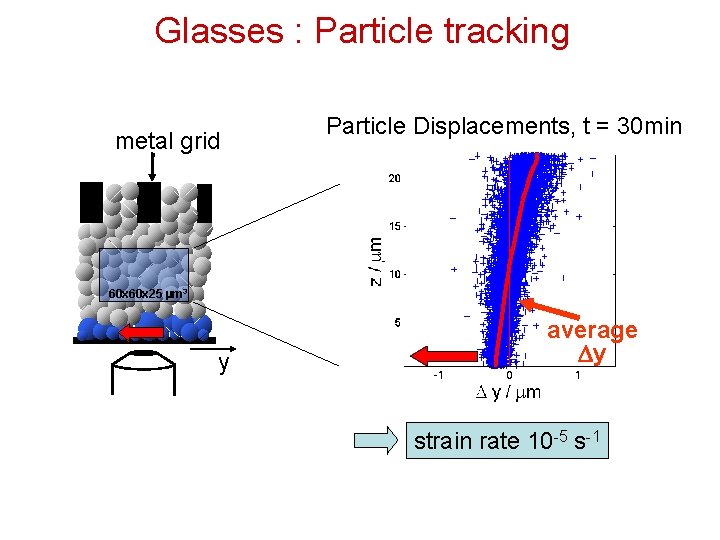 Glasses : Particle tracking metal grid Particle Displacements, t = 30 min 60 x
