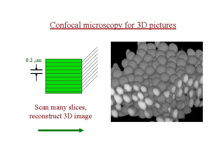 Confocal microscopy for 3 D pictures 0. 2 mm Scan many slices, reconstruct 3