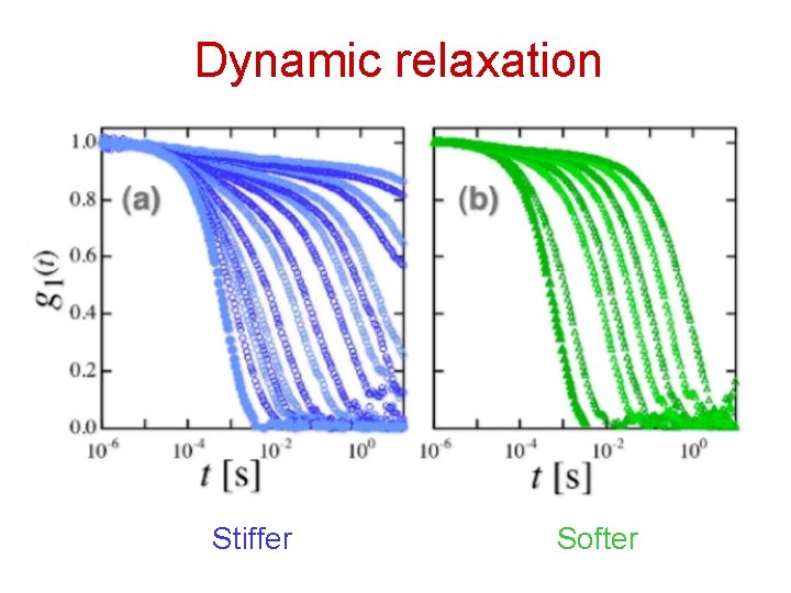 Dynamic relaxation Stiffer Softer 