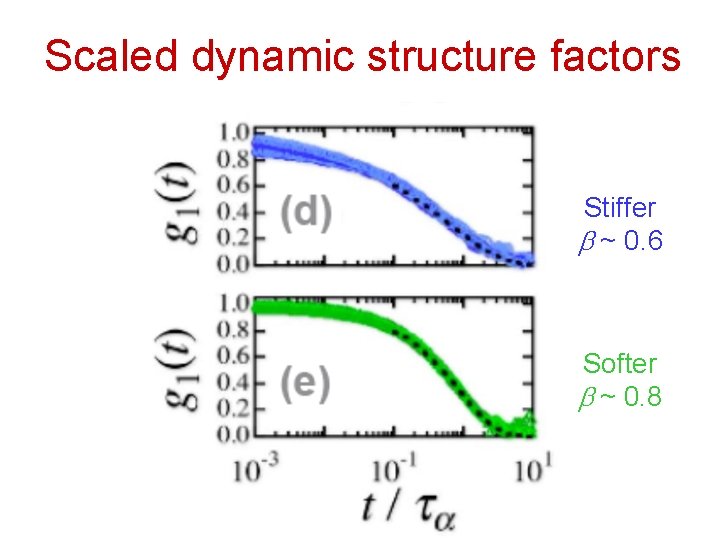 Scaled dynamic structure factors Stiffer b ~ 0. 6 Softer b ~ 0. 8