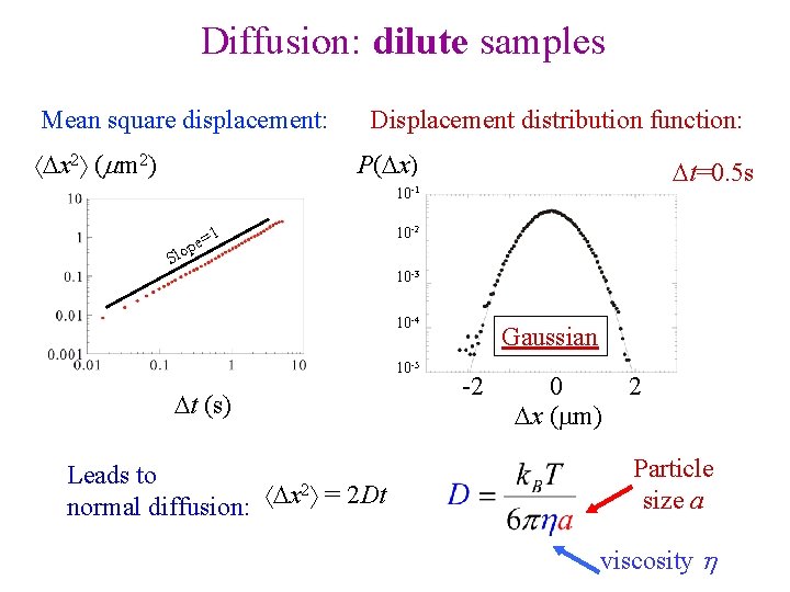 Diffusion: dilute samples Mean square displacement: x 2 (mm 2) Displacement distribution function: P(