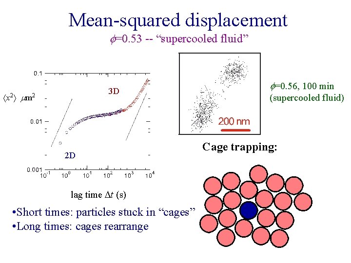 Mean-squared displacement f=0. 53 -- “supercooled fluid” 3 D x 2 mm 2 2
