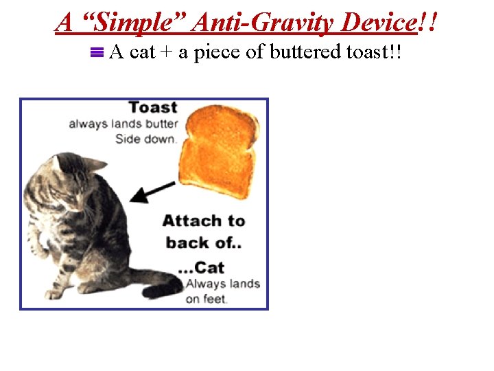 A “Simple” Anti-Gravity Device!! A cat + a piece of buttered toast!! 