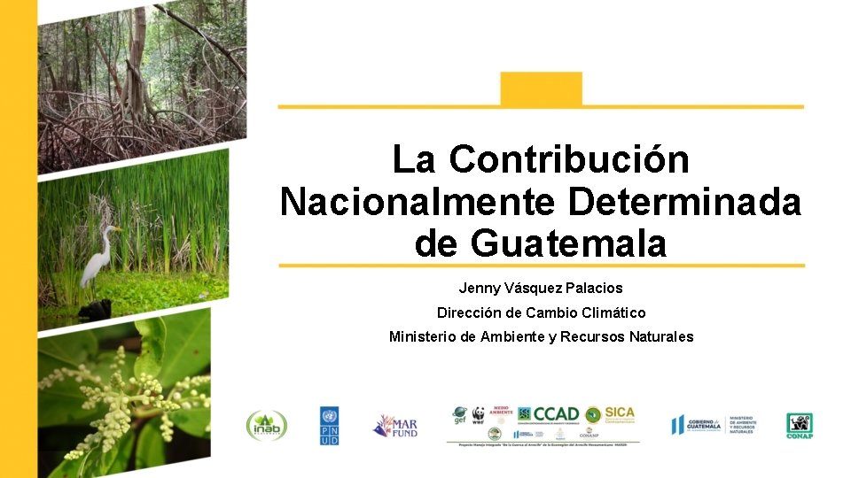 La Contribución Nacionalmente Determinada de Guatemala Jenny Vásquez Palacios Dirección de Cambio Climático Ministerio