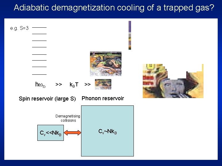 Adiabatic demagnetization cooling of a trapped gas? e. g. S=3 >> k. BT Spin