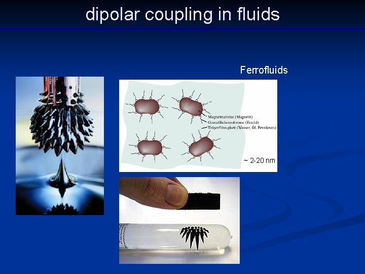 dipolar coupling in fluids Ferrofluids ~ 2 -20 nm 