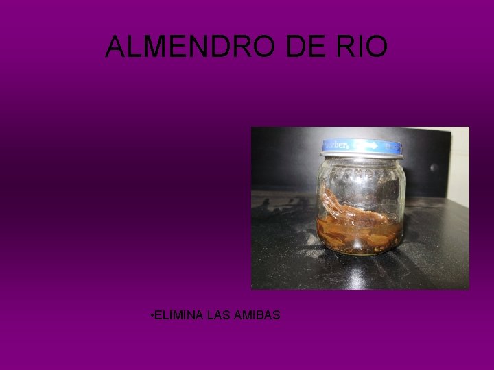 ALMENDRO DE RIO • ELIMINA LAS AMIBAS 