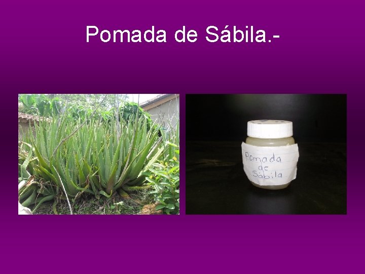 Pomada de Sábila. - 