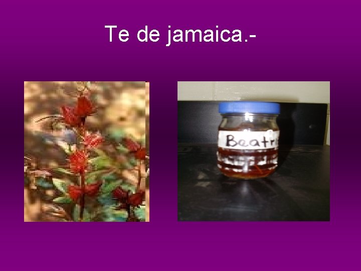 Te de jamaica. - 