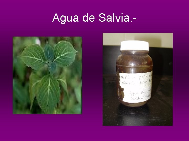 Agua de Salvia. - 