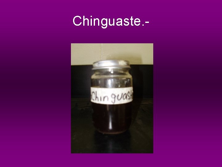 Chinguaste. - 