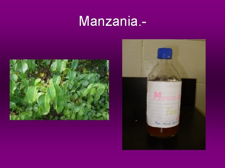 Manzania. - 