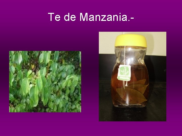 Te de Manzania. - 