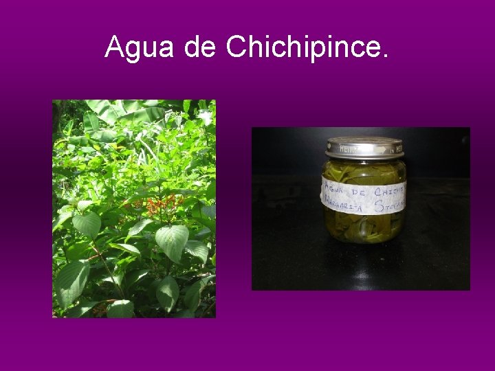 Agua de Chichipince. 