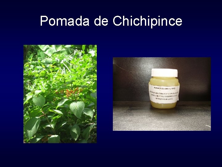 Pomada de Chichipince 