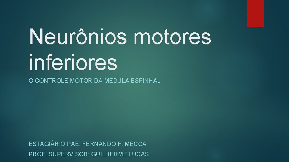 Neurônios motores inferiores O CONTROLE MOTOR DA MEDULA ESPINHAL ESTAGIÁRIO PAE: FERNANDO F. MECCA