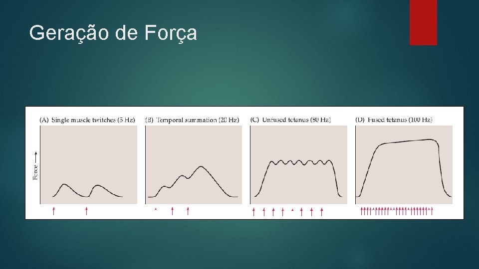 Geração de Força 