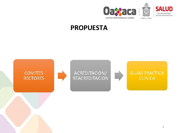 PROPUESTA COMITES RECTORES ACREDITACION/ REACREDITACION GUIAS PRACTICA CLINICA 5 