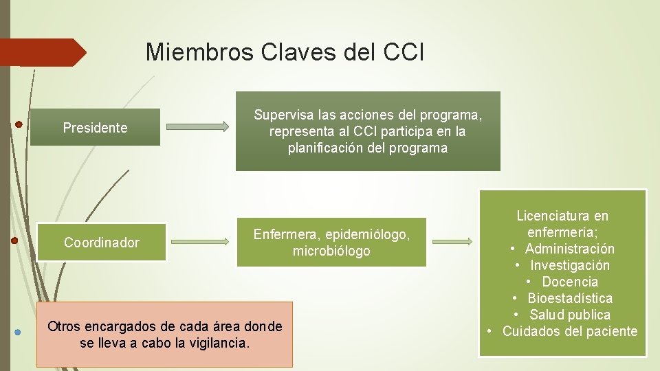 Miembros Claves del CCI Presidente Coordinador Supervisa las acciones del programa, representa al CCI Miembros Claves del CCI Presidente Coordinador Supervisa las acciones del programa, representa al CCI