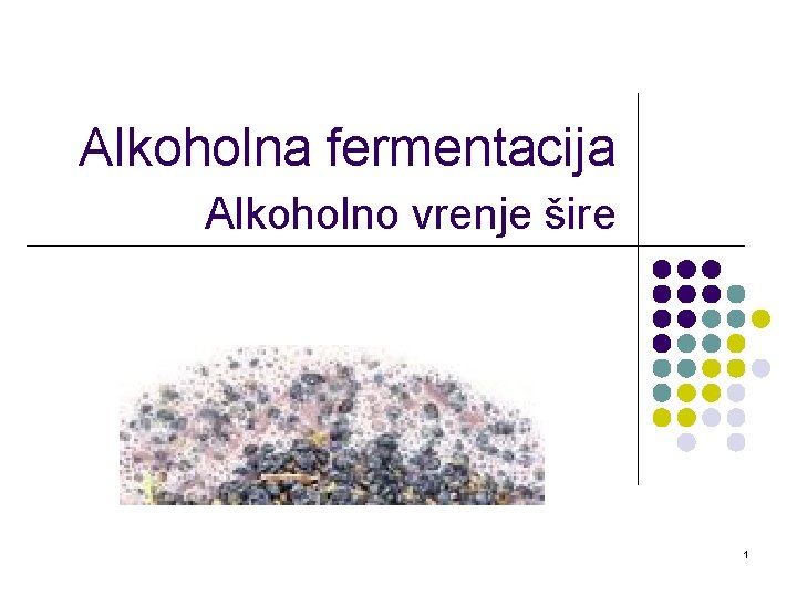 Alkoholna fermentacija Alkoholno vrenje šire 1 