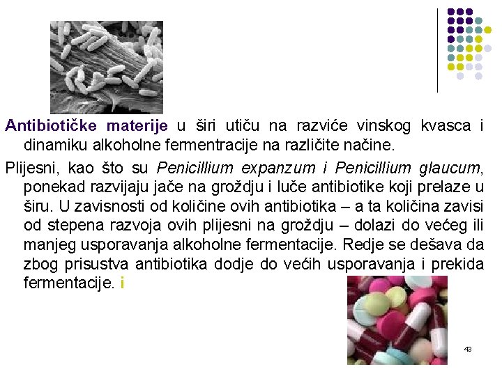 Antibiotičke materije u širi utiču na razviće vinskog kvasca i dinamiku alkoholne fermentracije na