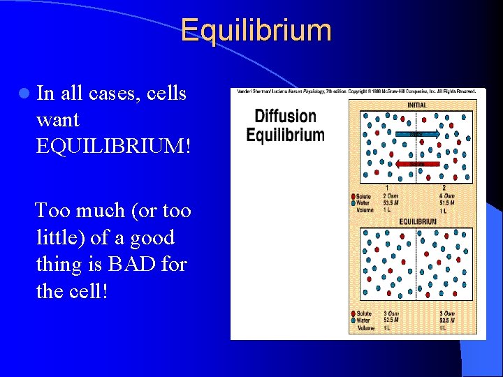 Equilibrium l In all cases, cells want EQUILIBRIUM! Too much (or too little) of