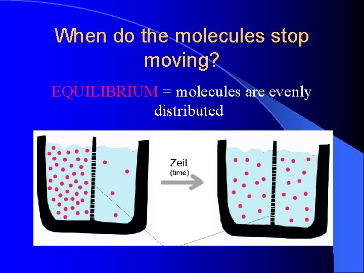 When do the molecules stop moving? EQUILIBRIUM = molecules are evenly distributed 