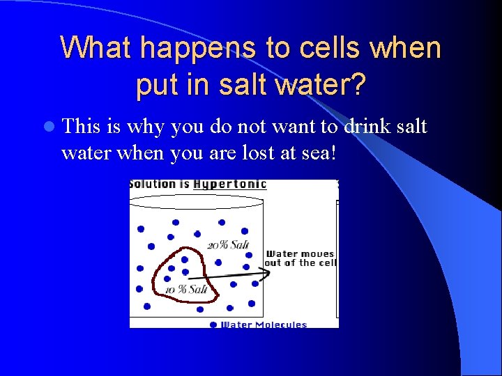 What happens to cells when put in salt water? l This is why you