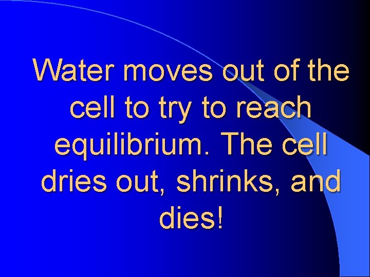 Water moves out of the cell to try to reach equilibrium. The cell dries