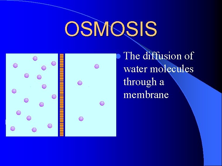 OSMOSIS l The diffusion of water molecules through a membrane 