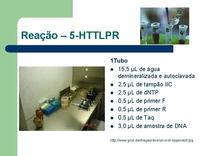 Reação – 5 -HTTLPR 1 Tubo l 15, 5 μL de água demineralizada e
