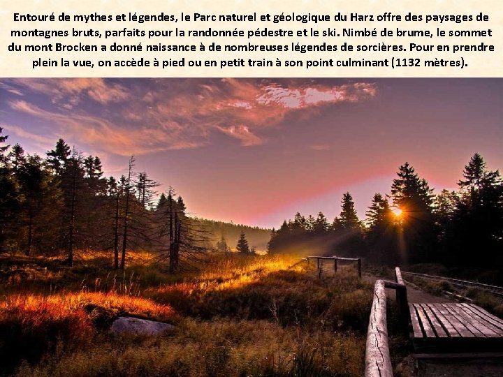 Entouré de mythes et légendes, le Parc naturel et géologique du Harz offre des