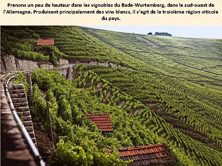 Prenons un peu de hauteur dans les vignobles du Bade-Wurtemberg, dans le sud-ouest de