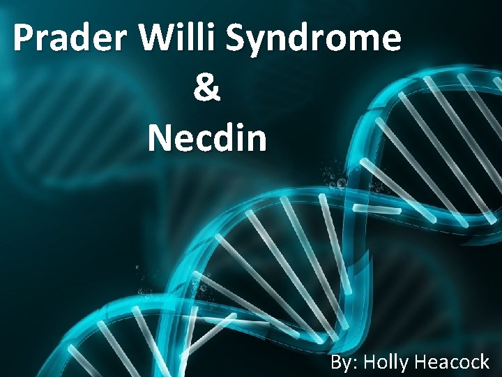 Prader Willi Syndrome & Necdin By: Holly Heacock 