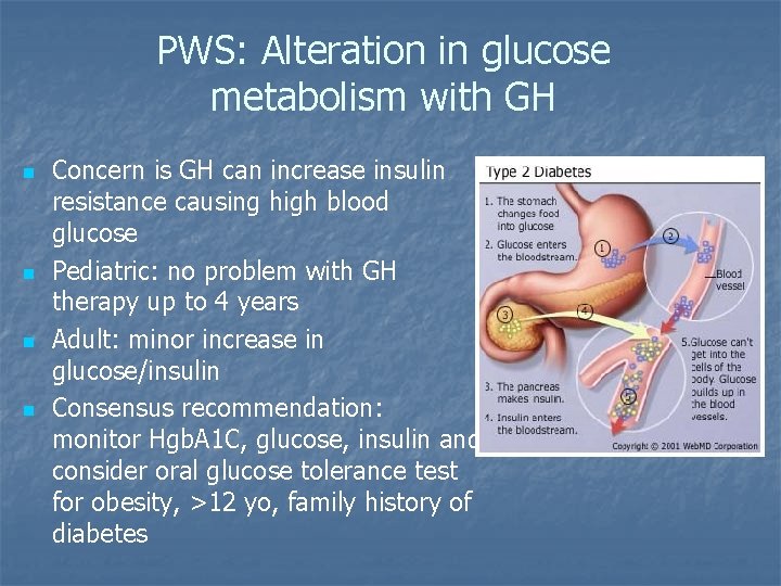 PWS: Alteration in glucose metabolism with GH n n Concern is GH can increase