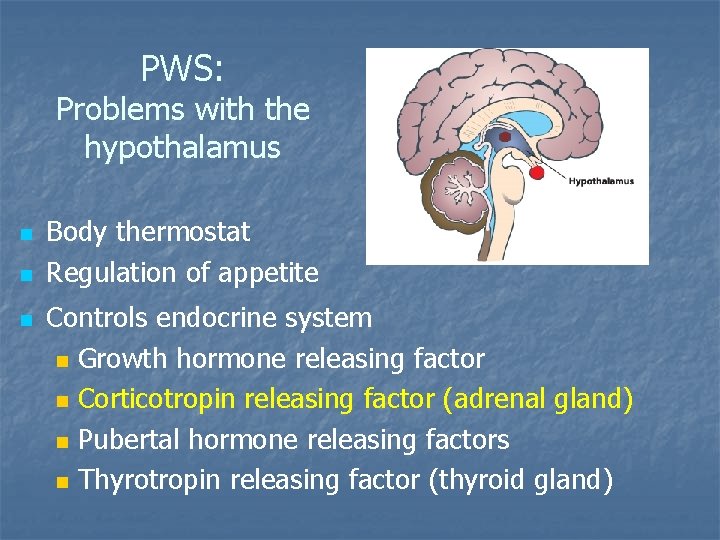 PWS: Problems with the hypothalamus n n n Body thermostat Regulation of appetite Controls