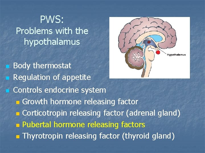 PWS: Problems with the hypothalamus n n n Body thermostat Regulation of appetite Controls