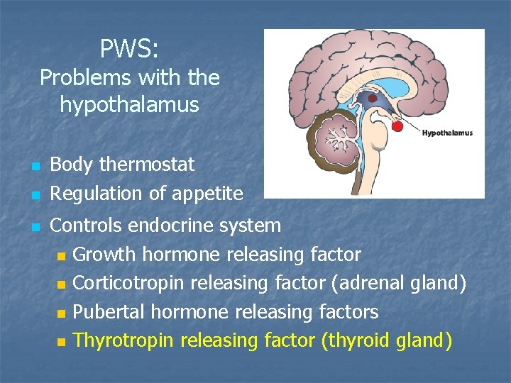 PWS: Problems with the hypothalamus n n n Body thermostat Regulation of appetite Controls