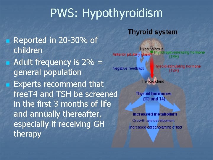 PWS: Hypothyroidism n n n Reported in 20 -30% of children Adult frequency is