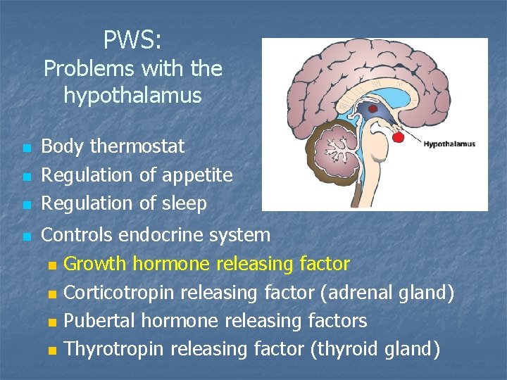 PWS: Problems with the hypothalamus n n Body thermostat Regulation of appetite Regulation of